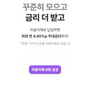 아이카카오