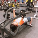 광영스파렉스 이미지