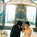 아모르 | 원주 빌라드아모르 본식스냅 후기