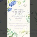 오늘의 '신앙 명언'(310강) 길버트 K. 체스터튼(Gilbert Keith Chesterton) 이미지