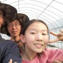 산골백두 이미지