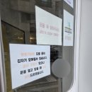 야옹야옹 | 당진 고양이카페 야옹야옹 방문후기 내돈내산