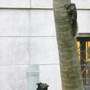 엄마사랑 이미지