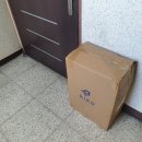 ㈜신행 | 예쁜 기내용 키코(kiko) 캐리어 20인치 추천해봅니드앗!