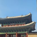 구억리입구 북측 3가 1 | [서울 종로] 1박2일 서울단풍여행 2일차(창경궁, 종묘, 르풀, 정동 전망대, 덕수궁, 남산)