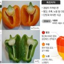 파프리카 &amp; 피망 이미지