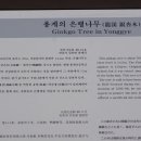 용계초등 이미지