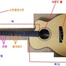 어쿠스틱 기타의 기초지식-각 부분의 명칭, 탑솔? 올솔? 이미지