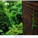 제주금강산콘도미니엄 이미지