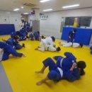 성남 중앙 유도체육관 이미지