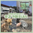 문경 카페포내리 후기 | 강아지 있는 감성카페, 오미자에이드 맛집