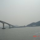 목포막회 이미지