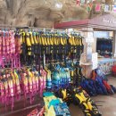 오창로하스파 이미지