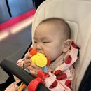 -홍삼이 300일 주간- 다시돌아온 홍삼이 / 외출일기 / 10개월 아기일상
