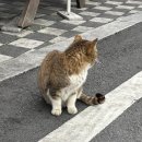 민치과 앞 | 인간혐오 MAX 찍은 나. 어쩜 좋지? (대학생/복학생 일상 블로그)