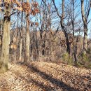 배내골사과정보화마을 이미지