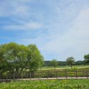 울진중앙농업협동조합 근남지점 | 경북 울진 바닷가 뷰 깨끗한 오토캠핑장 추천, 염전해변캠핑장 예약 방법, 주변 볼거리 추천