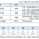 동양상호저축은행 | 동양생명의 엔젤더확실한저축보험 가입 후기 및 여러 재테크 정보