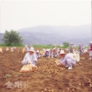 경란유통 | 천태종 개창 920주년 특집