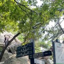 도봉산 등산코스 다락능선-포대능선-Y계곡-신선대 등산초보 후기/도봉산양고기