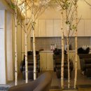 엠디스트 이미지