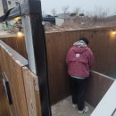 스테이독민박 이미지