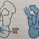 팔로인 이미지