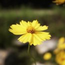 스마일 캠핑장 이미지