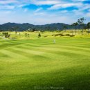 옥과골프장 이미지