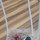 다비농장 | 자연과 사람이 어우러진 하루 김제 꽃다비팜 팜파티 이야기