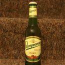 스타로프 이미지