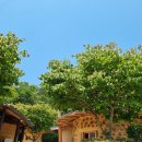 산수골황토방 이미지