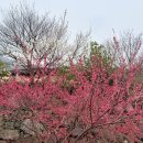 매화파출소 | [국내/패키지여행] 아너드 여행 후기 (서울역 탑승 장소)