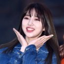 로하 이미지