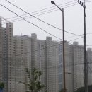 금강팬시 이미지