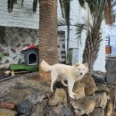 스마일 여관 이미지