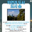 폴리도시