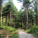 뉴꿈의궁전 이미지