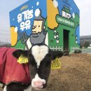 진죽칼국수 | 2020년 첫 겨울여행, 충남 보령~대천 1박 2일 : 우유창고, 충청수영성, 대천해수욕장, 청소역