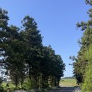 창해목장 이미지