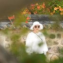 생림공원 Daum카페