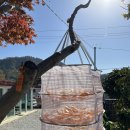 자연다움 이미지