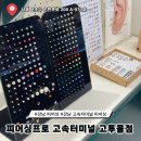 고속터미널역 피어싱 피어싱프로 고투몰점 교체 후기 (예쁜 귀테리어 완성✨)