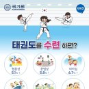 태권도 다움 이미지