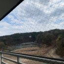 비둘기경로당 이미지