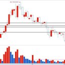 케이씨파라다이스 이미지