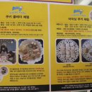 아지동키즈테마파크 이미지
