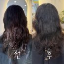 폼#반려견미용실 | 부산해운대 어반제이미용실 데미클리닉 후기