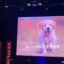 (주) 큐큐코리아 | 전국수의학도축제 다녀와서 힐스 사료 이벤트 당첨까지!+후기_(1)
