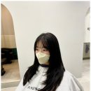 바미살롱 이미지